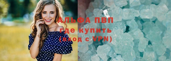 шишки Иннополис