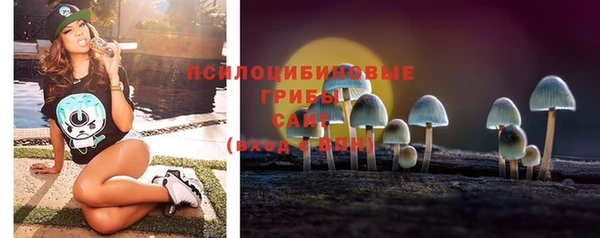 марки lsd Инсар