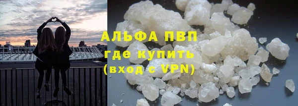 шишки Иннополис