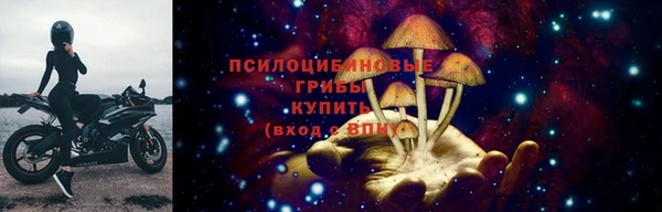 шишки Иннополис
