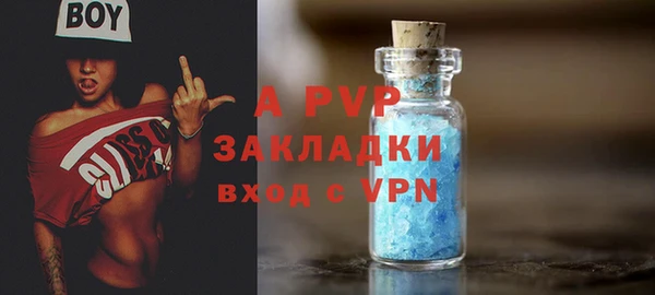 стафф Инта