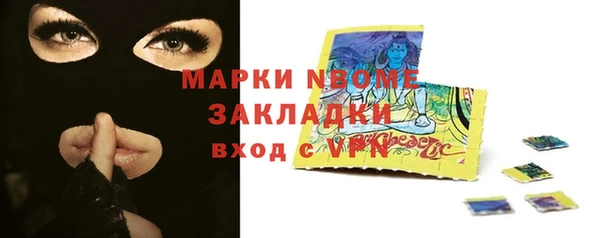 стафф Инта