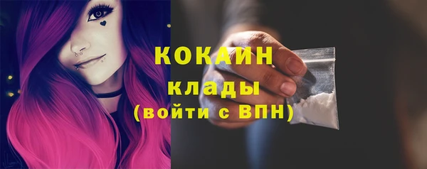 шишки Иннополис