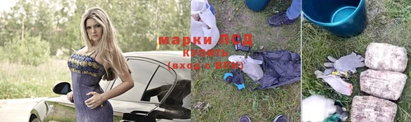 шишки Иннополис