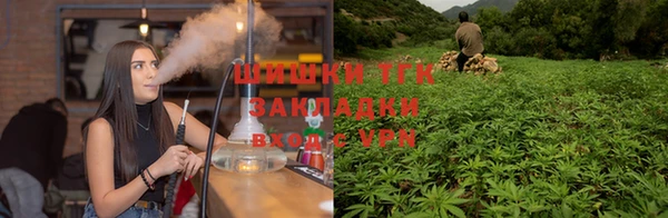 стафф Инта
