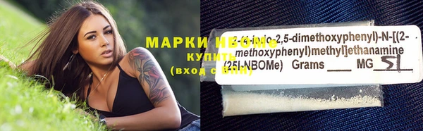 стафф Инта