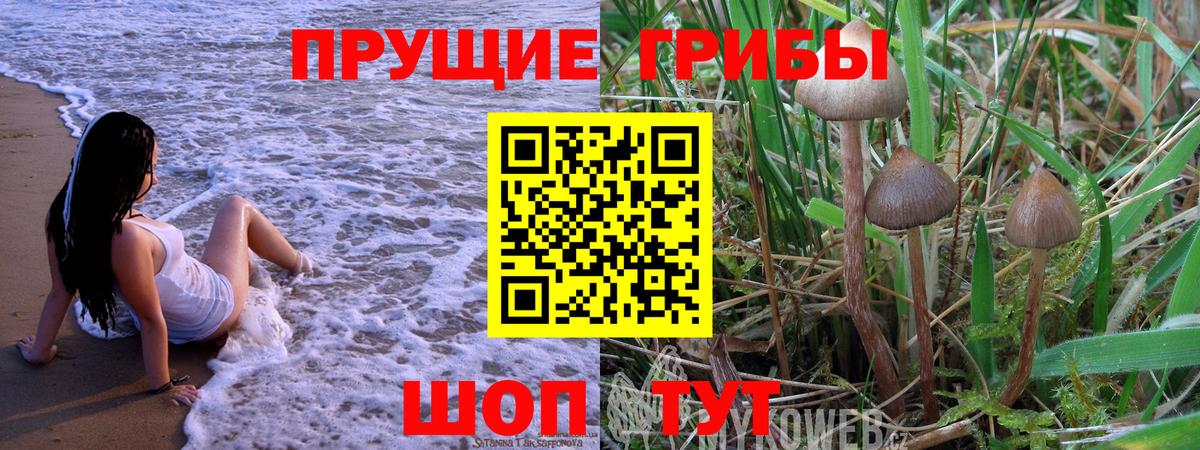 Галлюциногенные грибы мухоморы Видное