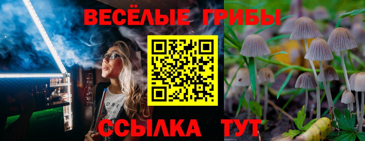 Псилоцибиновые грибы Psilocybine cubensis  Псилоцибиновые грибы Cubensis  Видное  Вход с VPN 